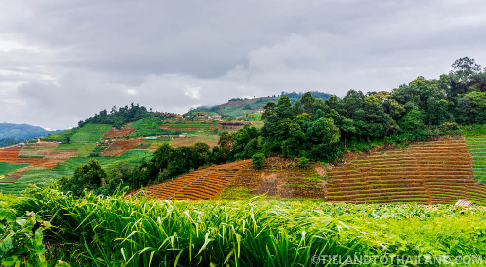 Breve escapada en Chiang Mai: excursión de un día a Mon Cham Breve escapada en Chiang Mai: excursión de un día a Mon Cham
