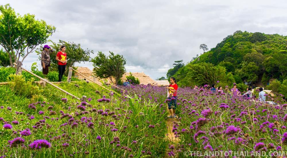 Breve escapada en Chiang Mai: excursión de un día a Mon Cham Breve escapada en Chiang Mai: excursión de un día a Mon Cham