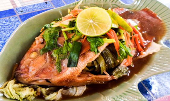 Reúnase como un local en el lago Huay Tung Tao en Chiang Mai Reúnase como un local en el lago Huay Tung Tao en Chiang Mai