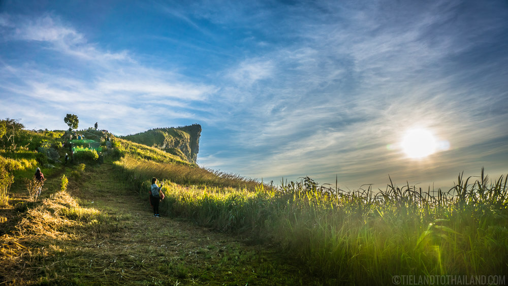 Phu Chi Fah: Capturando el amanecer en un mar de niebla