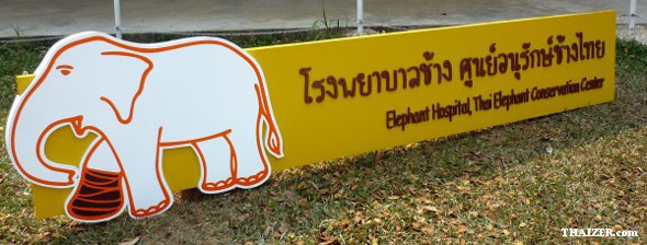 Centro de Conservación del Elefante Tailandés, Lampang (cerca de Chiang Mai) Centro de Conservación del Elefante Tailandés, Lampang (cerca de Chiang Mai)