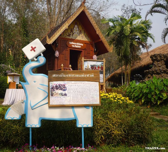 Centro de Conservación del Elefante Tailandés, Lampang (cerca de Chiang Mai) Centro de Conservación del Elefante Tailandés, Lampang (cerca de Chiang Mai)