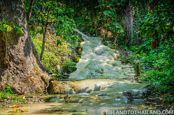 Cascadas pegajosas de Bua Tong Chiang Mai Cascadas pegajosas de Bua Tong Chiang Mai