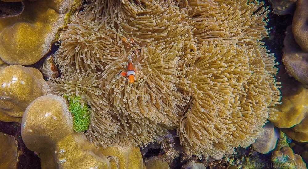 Actividades inolvidables en Koh Lanta Actividades inolvidables en Koh Lanta