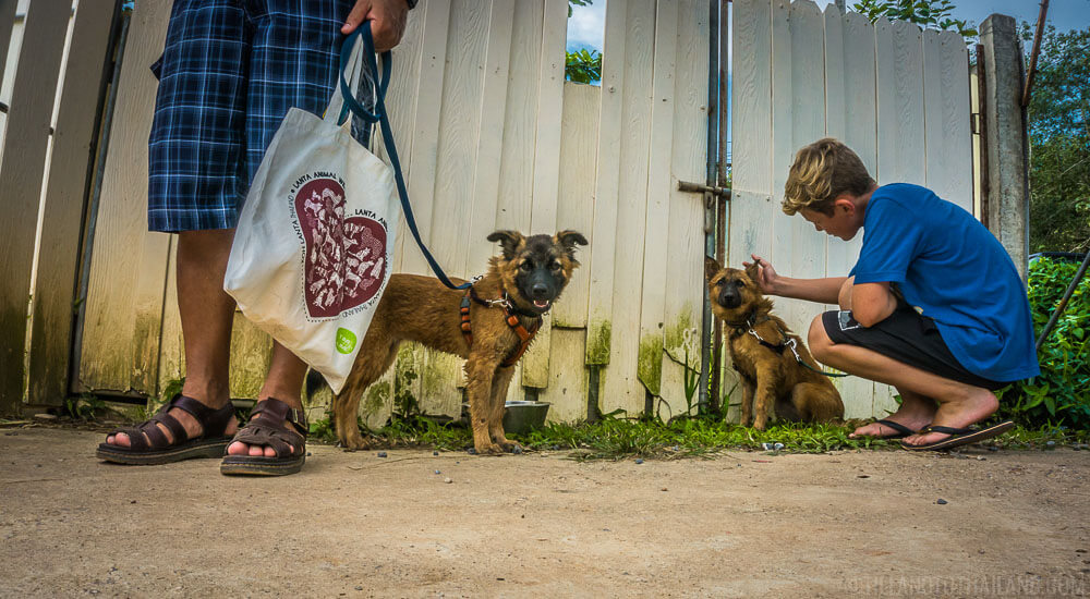 Actividades inolvidables en Koh Lanta Actividades inolvidables en Koh Lanta