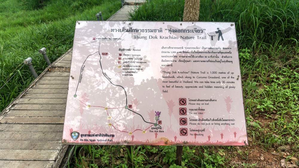 Descubre la belleza del Siam Tulip Festival