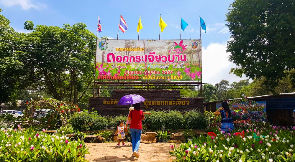 Descubre la belleza del Siam Tulip Festival