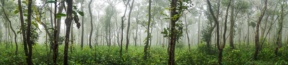 Cuatro hermosos parques nacionales en Chaiyaphum