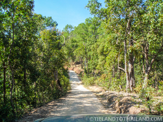 No se permite montar en elefante en el Santuario de la Selva de Elefantes