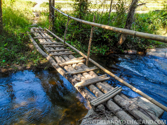 No se permite montar en elefante en el Santuario de la Selva de Elefantes