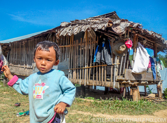 No se permite montar en elefante en el Santuario de la Selva de Elefantes