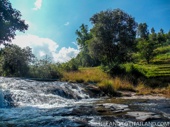 No se permite montar en elefante en el Santuario de la Selva de Elefantes