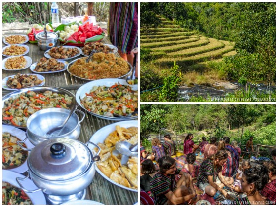 No se permite montar en elefante en el Santuario de la Selva de Elefantes