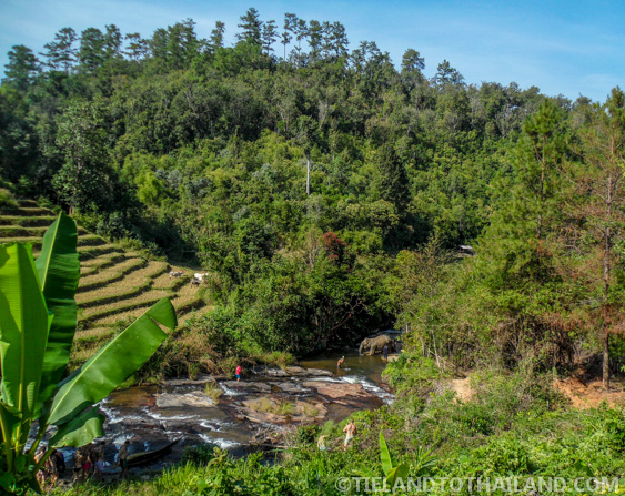 No se permite montar en elefante en el Santuario de la Selva de Elefantes