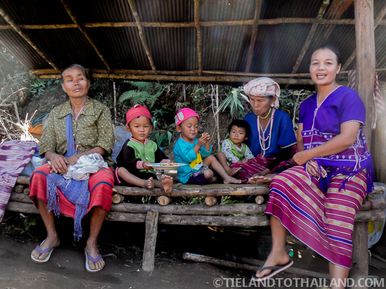 No se permite montar en elefante en el Santuario de la Selva de Elefantes