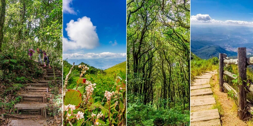 Excursiones de un día de bricolaje a Chiang Mai Excursiones de un día de bricolaje a Chiang Mai