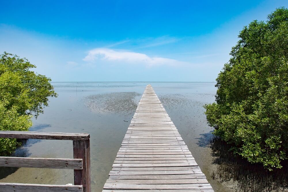 Descubre un lado diferente de Tailandia con A Night with Locals