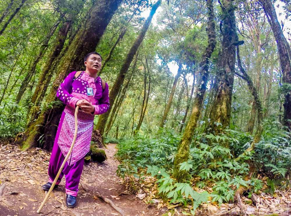 Una excursión de un día a Doi Inthanon, la montaña más alta de Tailandia Una excursión de un día a Doi Inthanon, la montaña más alta de Tailandia