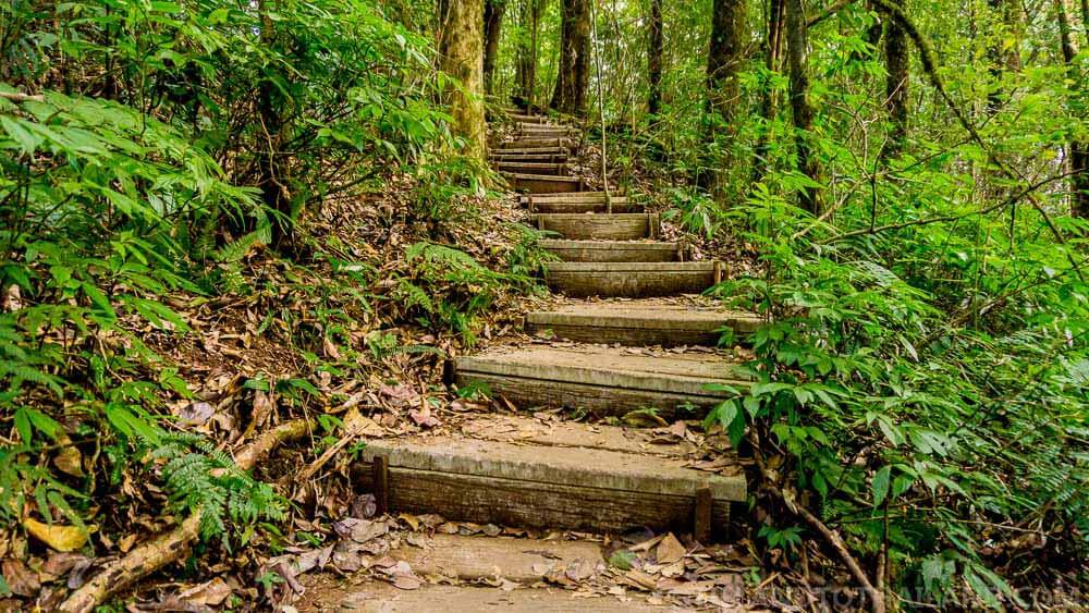 Una excursión de un día a Doi Inthanon, la montaña más alta de Tailandia Una excursión de un día a Doi Inthanon, la montaña más alta de Tailandia