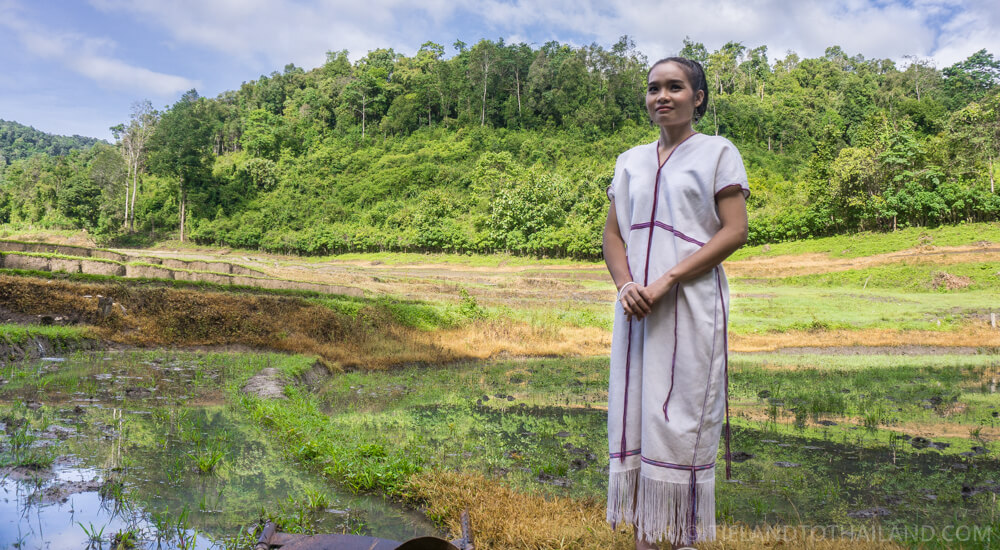 Experimente un auténtico recorrido por la tribu de las colinas de Chiang Mai y alojamiento en familia.