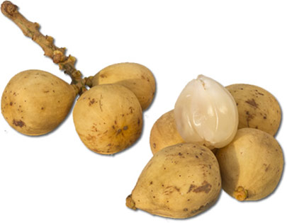 19 frutas tailandesas que hacen cosquillas al paladar (incluidas traducciones al inglés) 19 frutas tailandesas que hacen cosquillas al paladar (incluidas traducciones al inglés)