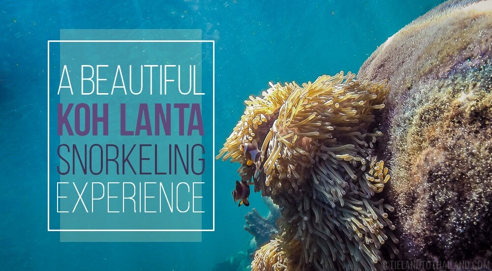 Una maravillosa experiencia de snorkel en Koh Lanta