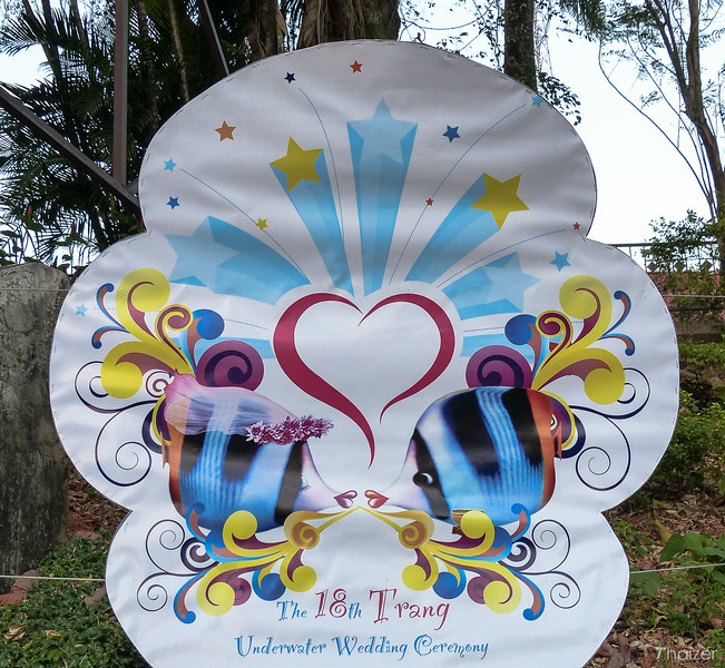 Ceremonia de boda submarina en Trang Ceremonia de boda submarina en Trang