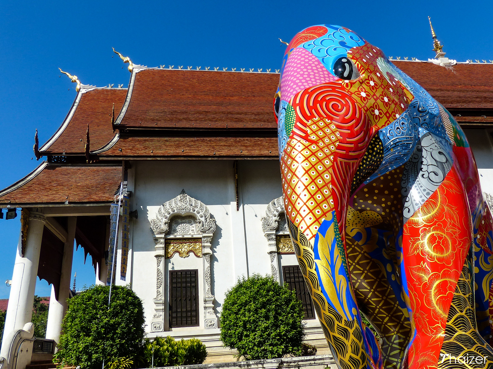 Desfile de elefantes en Chiang Mai