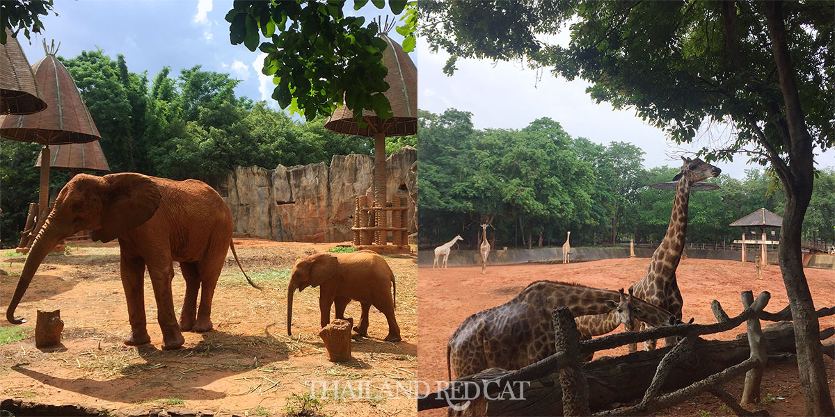 Lo más destacado de Korat (Nakhon Ratchasima).