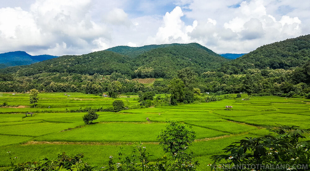 Reseña: Autobús verde clase VIP de Tailandia