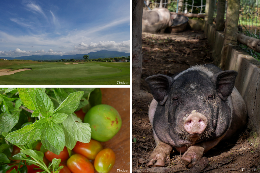 Sabai Sabai en Khao Yai