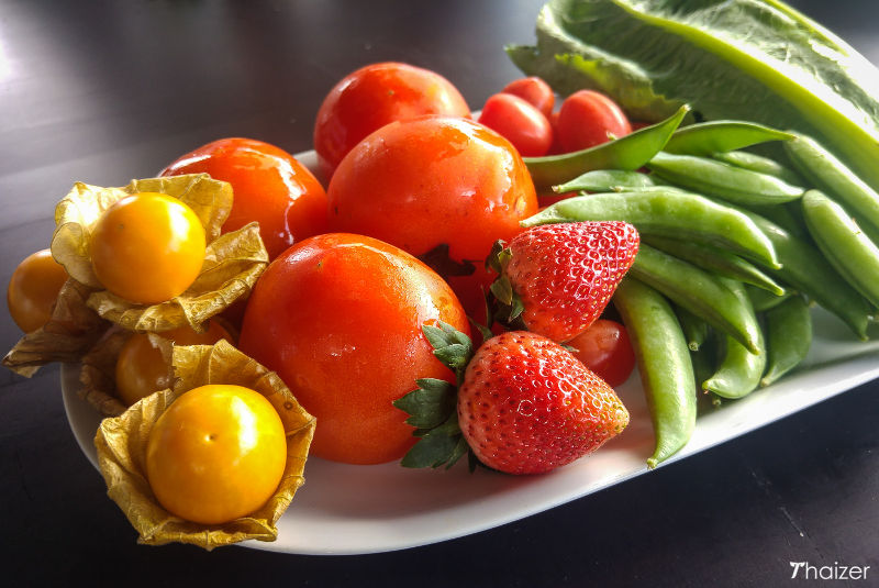 Tras las huellas del rey: proyectos reales de Tailandia