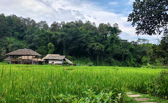 Todo lo que debes saber sobre la compra de una propiedad en Tailandia y 12 pasos para evitar estafas Todo lo que debes saber sobre la compra de una propiedad en Tailandia y 12 pasos para evitar estafas