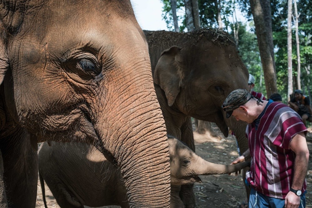 Un día en un santuario de elefantes en Chiang Mai.