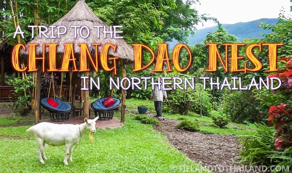 Un viaje al Nido de Chiang Dao en el norte de Tailandia