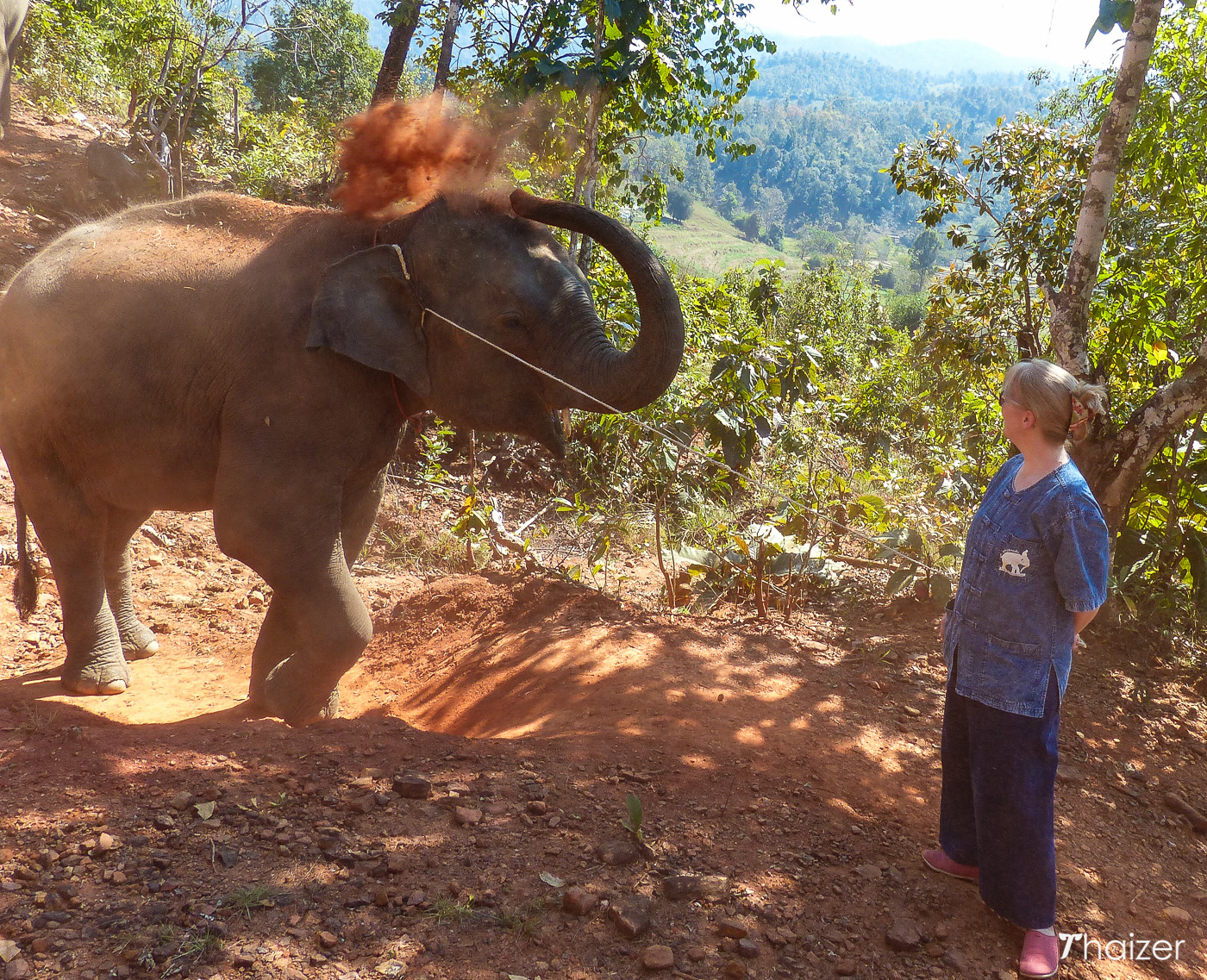 Visita a la Fundación Tong Bai Elephant, Chiang Mai.
