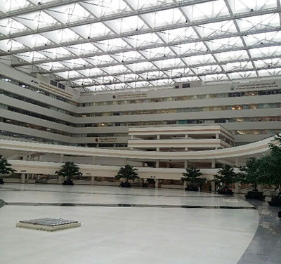 O Extensión de visa para no inmigrantes: cómo extender su estadía por 60 días