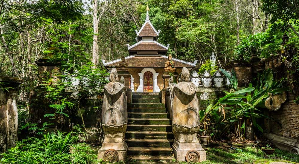 Camina por el sendero del monje hasta Doi Suthep Camina por el sendero del monje hasta Doi Suthep