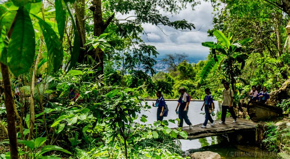 Camina por el sendero del monje hasta Doi Suthep Camina por el sendero del monje hasta Doi Suthep