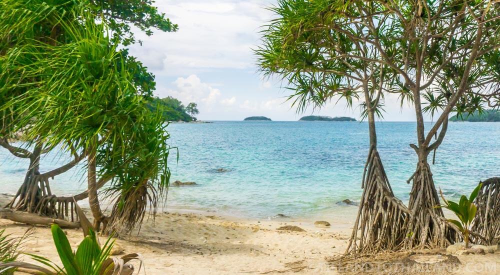 Bebiendo cocos y haciendo snorkel en la isla Koh Bon, Phuket Bebiendo cocos y haciendo snorkel en la isla Koh Bon, Phuket