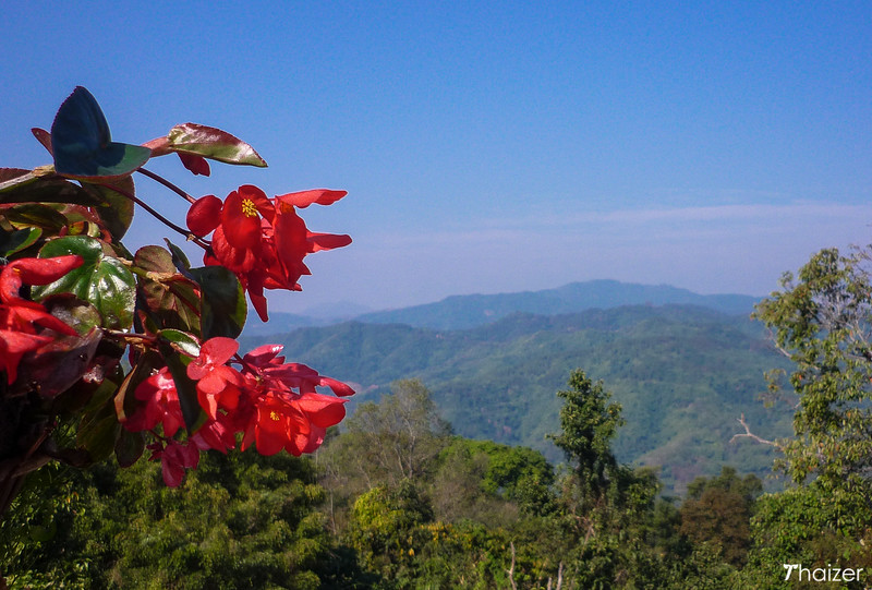Jardín Mae Fah Luang, Doi Tung, Chiang Rai