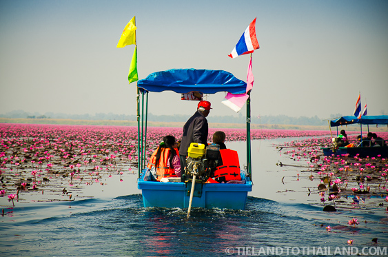 Mar del Loto Rojo en Udon Thani, Tailandia