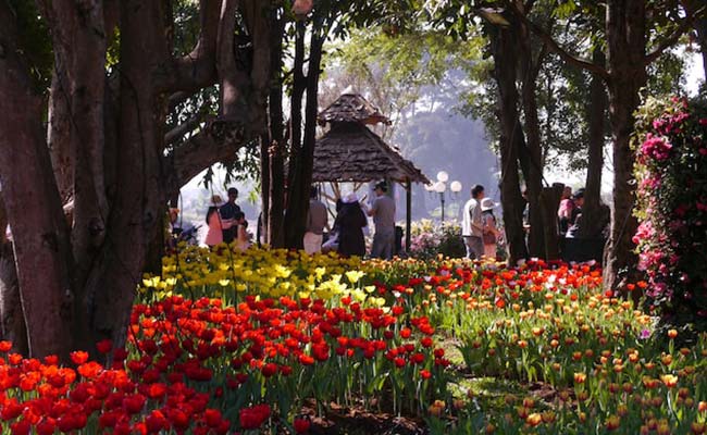Una guía de viaje a Chiang Rai, la ciudad más septentrional de Tailandia Una guía de viaje a Chiang Rai, la ciudad más septentrional de Tailandia