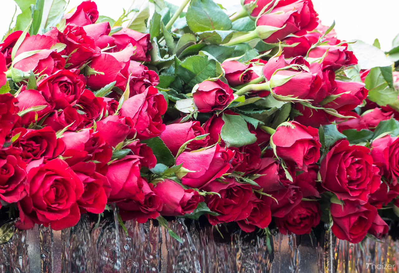 Colores de Tailandia: rojo brillante