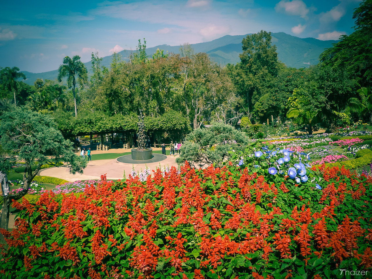 Colores de Tailandia: rojo brillante