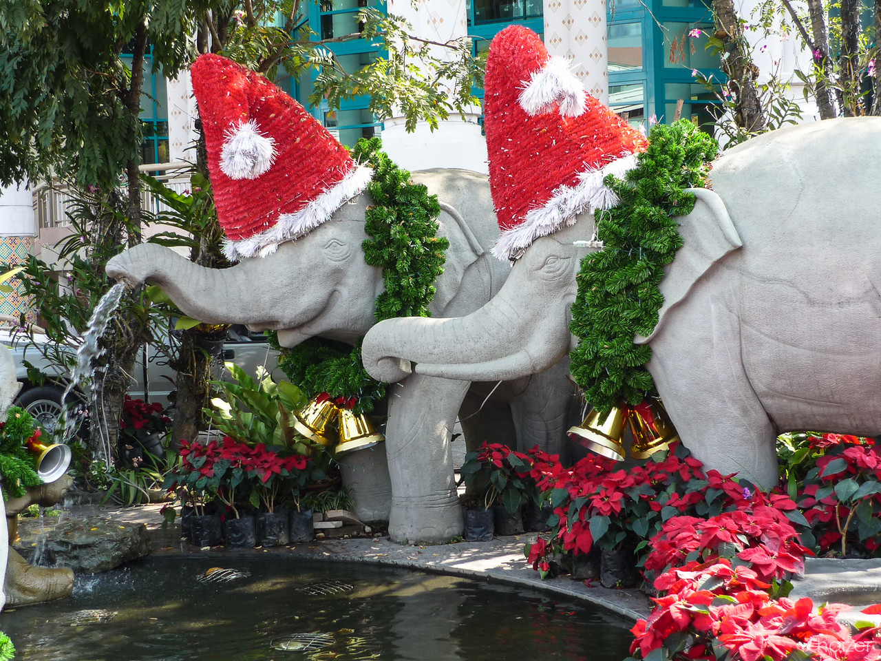 Colores de Tailandia: rojo brillante