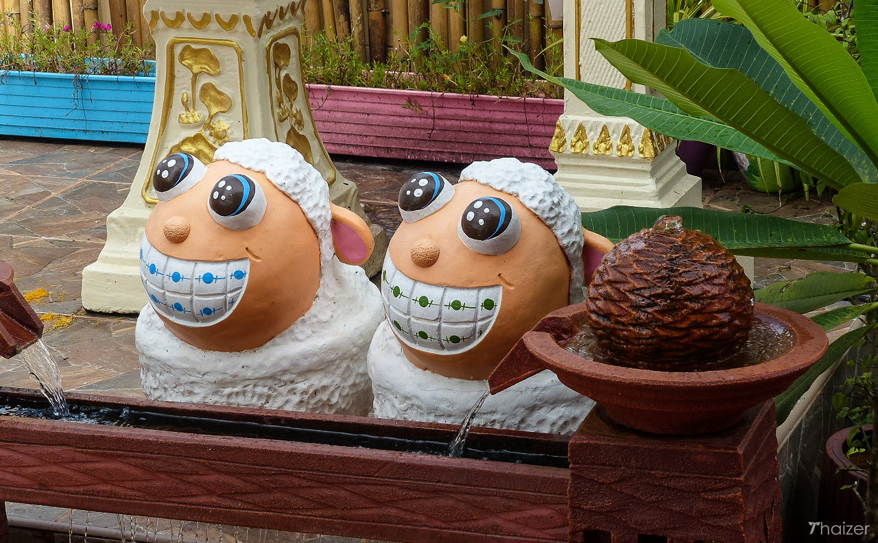 La improbable obsesión de Tailandia por las ovejas