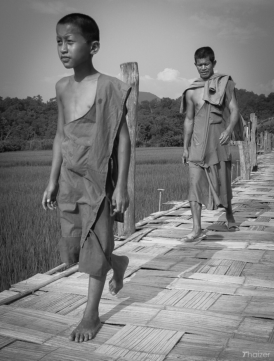 El Puente de Bambú de la Fe sobre los arrozales de Mae Hong Son