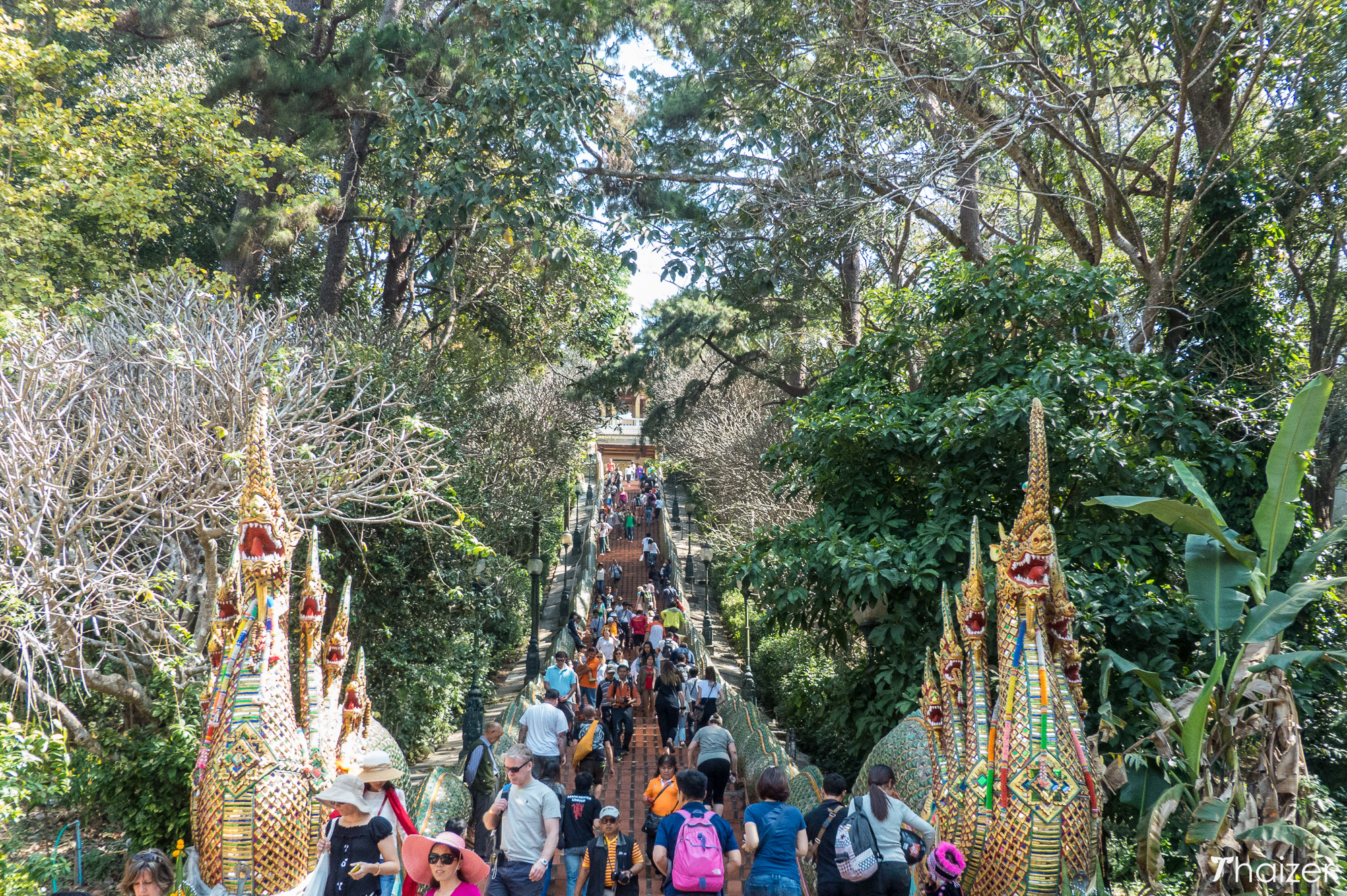 Wat Phra That Doi Suthep, Chiang Mai