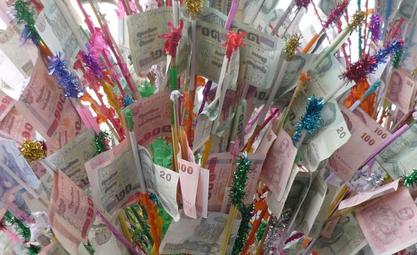 Árbol del dinero en Tailandia Árbol del dinero en Tailandia